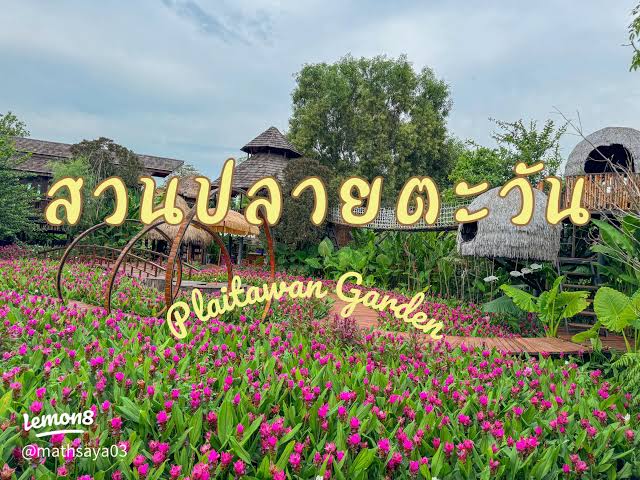 สวนปลายตะวัน - Plaitawan Garden